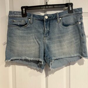Blank NYC Light Blue Jean Shorts